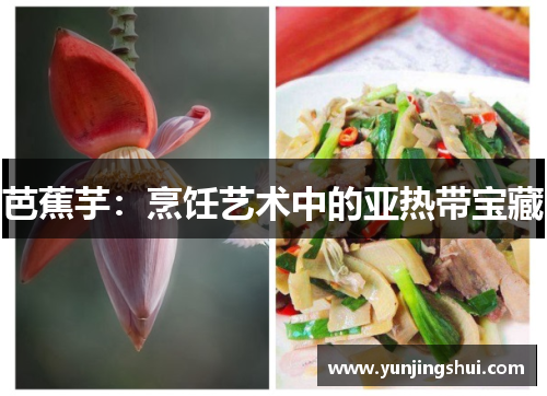 芭蕉芋：烹饪艺术中的亚热带宝藏
