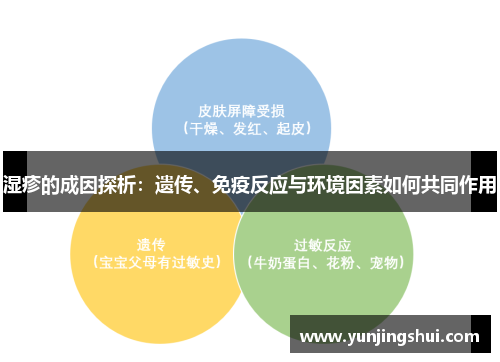 湿疹的成因探析：遗传、免疫反应与环境因素如何共同作用