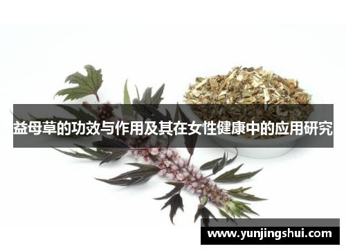 益母草的功效与作用及其在女性健康中的应用研究
