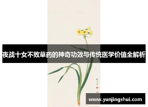 夜战十女不败草药的神奇功效与传统医学价值全解析