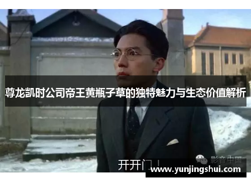 尊龙凯时公司帝王黄瓶子草的独特魅力与生态价值解析